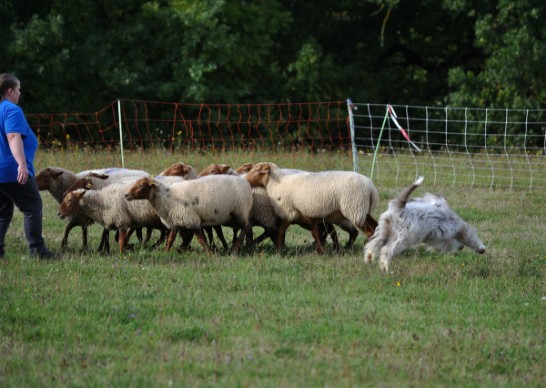 Schnupperhüten 2017