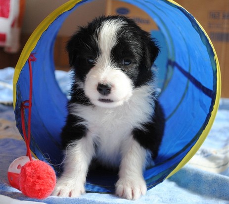 Catch Me vom Worblinger Hard